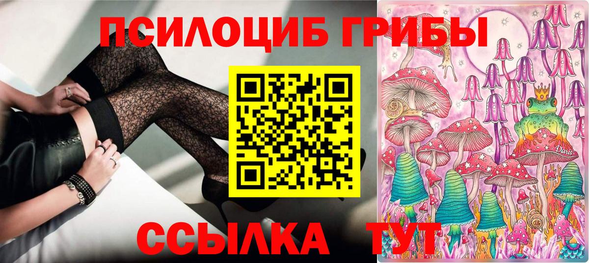 Псилоцибиновые грибы Psilocybine cubensis Лесозаводск