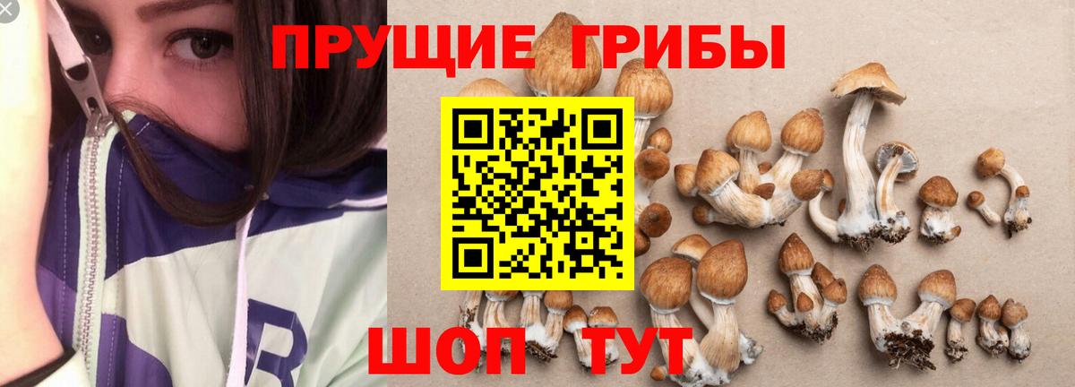 Галлюциногенные грибы MAGIC MUSHROOMS  Вход с VPN  Лесозаводск  Псилоцибиновые грибы Psilocybine cubensis 